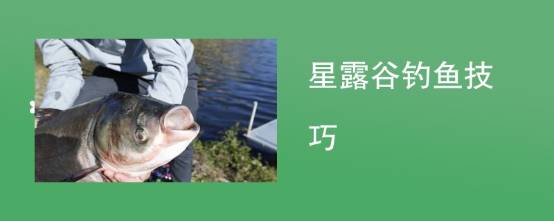 星露谷钓鱼技巧