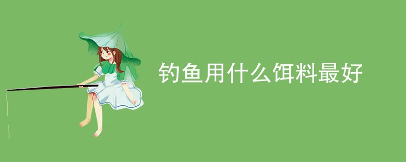 钓鱼用什么饵料最好