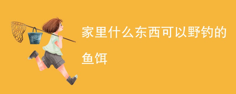 家里什么东西可以野钓的鱼饵