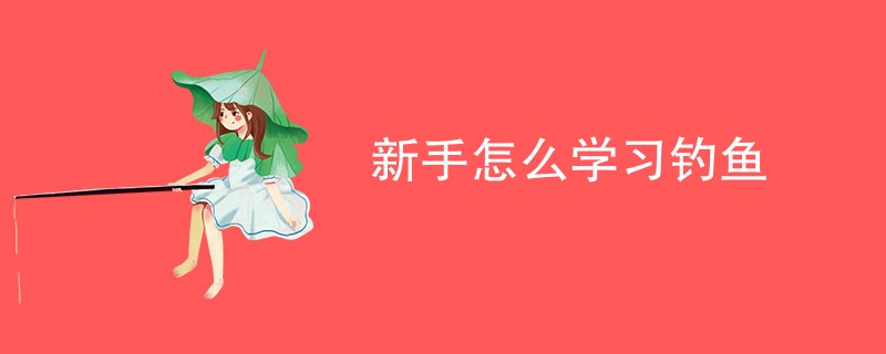 新手怎么学习钓鱼