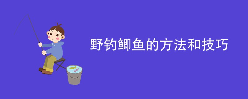 野钓鲫鱼的方法和技巧