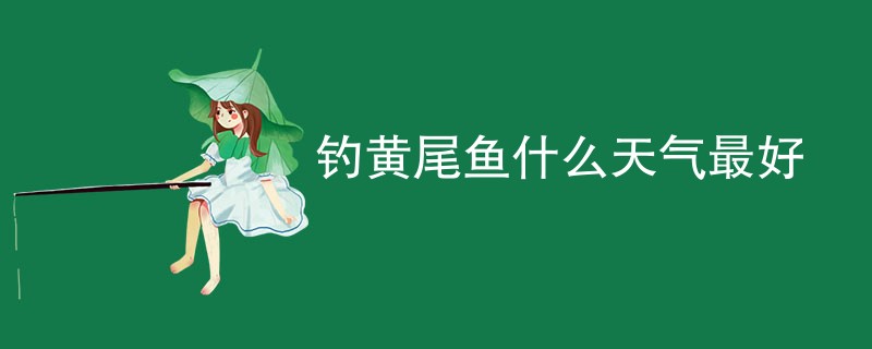 钓黄尾鱼什么天气最好