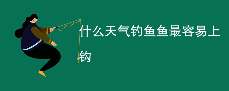 什么天气钓鱼鱼最容易上钩