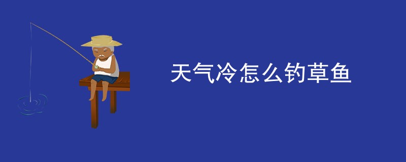 天气冷怎么钓草鱼