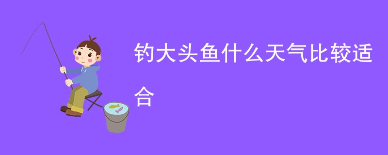 钓大头鱼什么天气比较适合