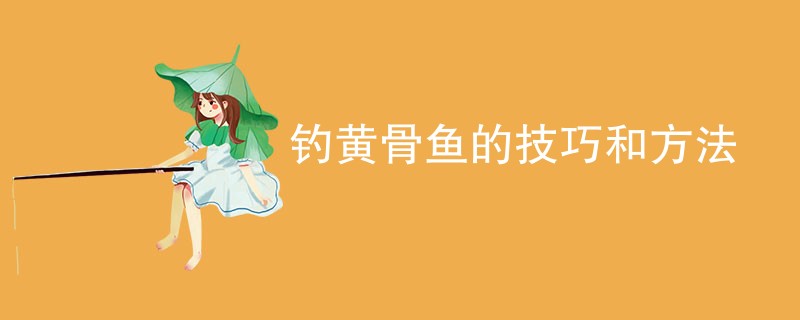 钓黄骨鱼的技巧和方法