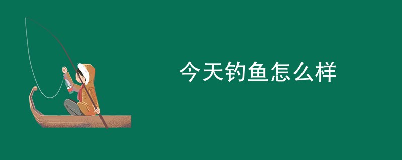 今天钓鱼怎么样