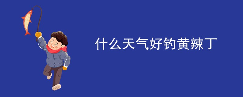 什么天气好钓黄辣丁