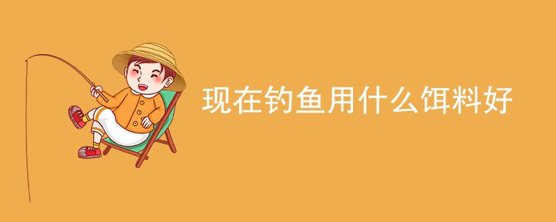 现在钓鱼用什么饵料好