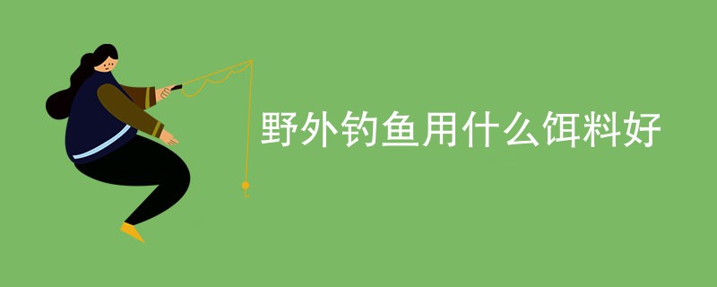 野外钓鱼用什么饵料好