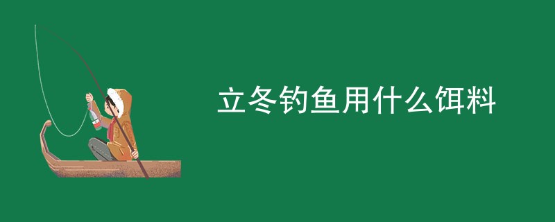 立冬钓鱼用什么饵料