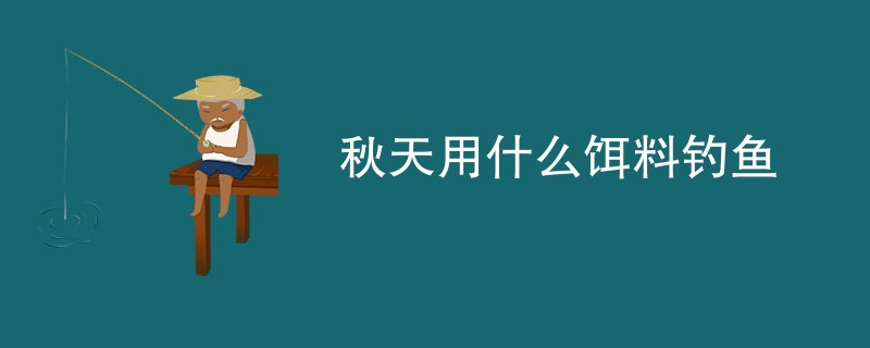 秋天用什么饵料钓鱼