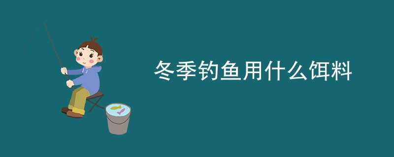 冬季钓鱼用什么饵料